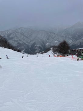 奥利根スノーパークに投稿された画像（2022/12/29）