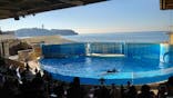 新江ノ島水族館に投稿された画像（2022/12/30）