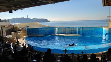 新江ノ島水族館に投稿された画像（2022/12/29）