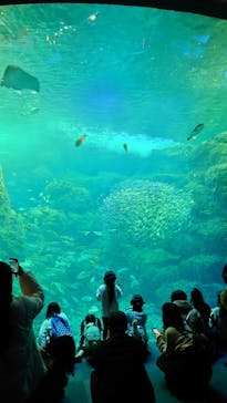 新江ノ島水族館に投稿された画像（2022/12/29）