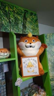 新江ノ島水族館に投稿された画像（2022/12/29）