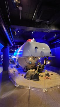 新江ノ島水族館に投稿された画像（2022/12/29）