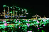 美らヤシパークオキナワ・東南植物楽園に投稿された画像（2022/12/30）