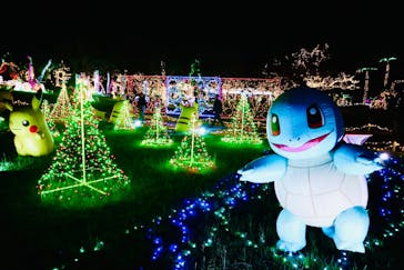 美らヤシパークオキナワ・東南植物楽園に投稿された画像（2022/12/29）