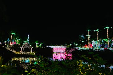 美らヤシパークオキナワ・東南植物楽園に投稿された画像（2022/12/29）