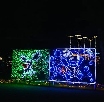 美らヤシパークオキナワ・東南植物楽園に投稿された画像（2022/12/29）