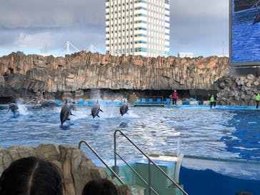 名古屋港水族館に投稿された画像（2022/12/29）