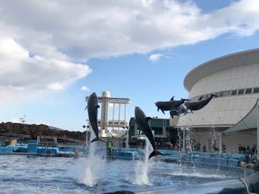 名古屋港水族館に投稿された画像（2022/12/29）