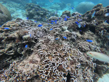 武藤潜水に投稿された画像（2022/12/30）