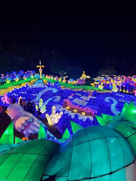 伊豆ぐらんぱる公園に投稿された画像（2022/12/30）