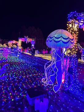 伊豆ぐらんぱる公園に投稿された画像（2022/12/30）