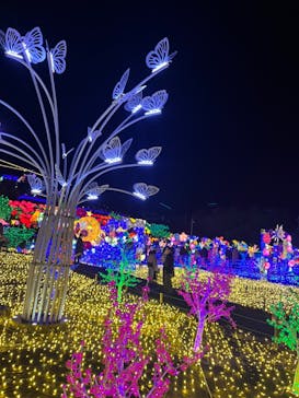 伊豆ぐらんぱる公園に投稿された画像（2022/12/30）