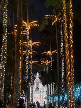 美らヤシパークオキナワ・東南植物楽園に投稿された画像（2022/12/30）