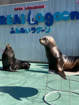 横浜・八景島シーパラダイスに投稿された画像（2022/12/30）