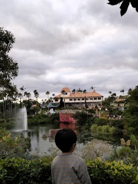 美らヤシパークオキナワ・東南植物楽園に投稿された画像（2022/12/30）