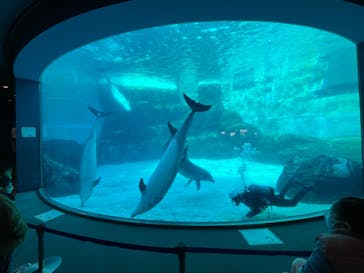 名古屋港水族館に投稿された画像（2022/12/30）