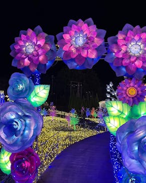 伊豆ぐらんぱる公園に投稿された画像（2022/12/30）