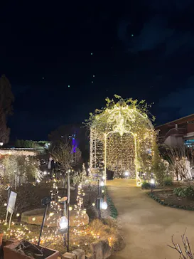 ひらかたパークに投稿された画像（2022/12/30）