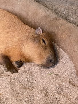 新江ノ島水族館に投稿された画像（2022/12/30）
