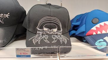 島根県立 しまね海洋館に投稿された画像（2022/12/30）