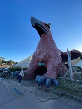 伊豆シャボテン動物公園に投稿された画像（2022/12/30）