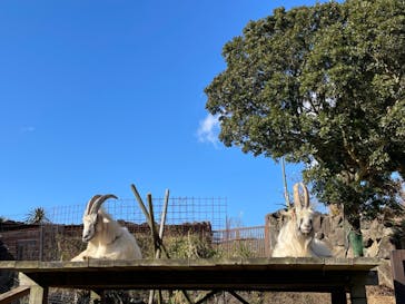 伊豆シャボテン動物公園に投稿された画像（2022/12/30）