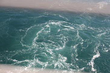 徳島県立 渦の道に投稿された画像（2022/12/30）