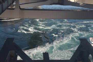 徳島県立 渦の道に投稿された画像（2022/12/30）