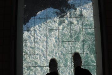 徳島県立 渦の道に投稿された画像（2022/12/30）