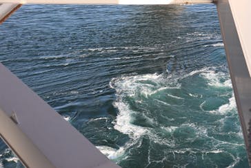 徳島県立 渦の道に投稿された画像（2022/12/30）