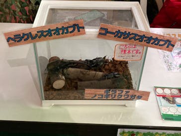 千葉こどもの国 キッズダムに投稿された画像（2022/12/30）