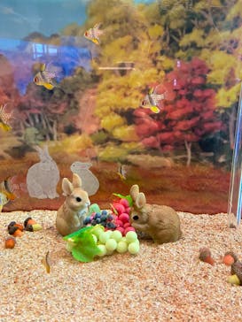 大分マリーンパレス水族館 「うみたまご」に投稿された画像（2022/12/30）