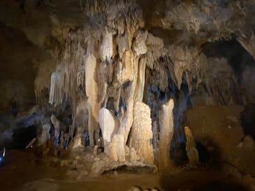 石垣島鍾乳洞に投稿された画像（2022/12/30）