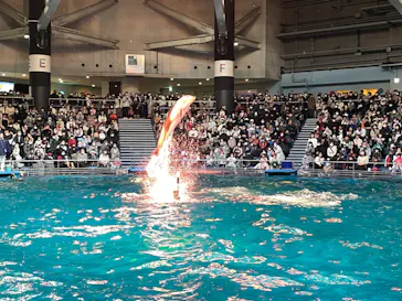 マクセル アクアパーク品川に投稿された画像（2022/12/30）