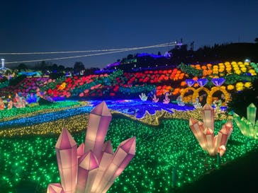 伊豆ぐらんぱる公園に投稿された画像（2022/12/30）