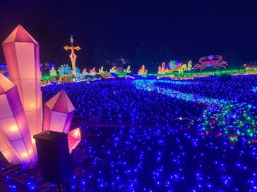 伊豆ぐらんぱる公園に投稿された画像（2022/12/30）