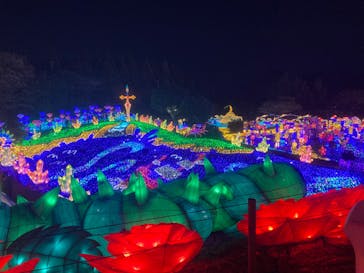 伊豆ぐらんぱる公園に投稿された画像（2022/12/30）