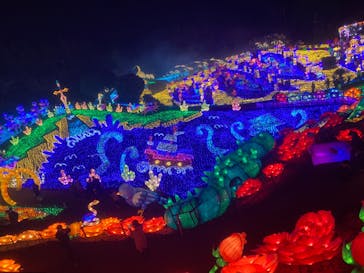 伊豆ぐらんぱる公園に投稿された画像（2022/12/30）