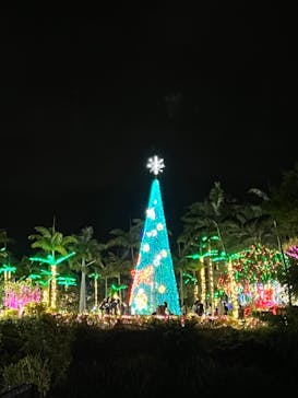 美らヤシパークオキナワ・東南植物楽園に投稿された画像（2022/12/30）