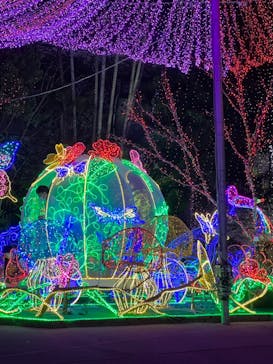 美らヤシパークオキナワ・東南植物楽園に投稿された画像（2022/12/30）