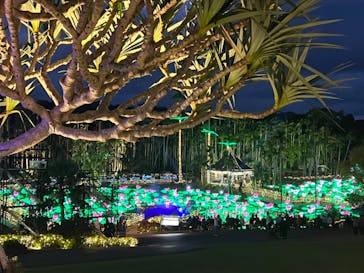 美らヤシパークオキナワ・東南植物楽園に投稿された画像（2022/12/30）