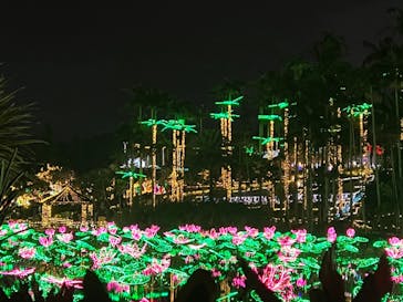 美らヤシパークオキナワ・東南植物楽園に投稿された画像（2022/12/30）