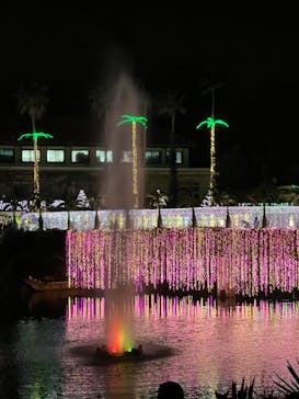 美らヤシパークオキナワ・東南植物楽園に投稿された画像（2022/12/30）