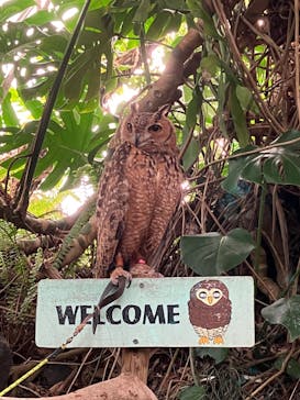 伊豆シャボテン動物公園に投稿された画像（2022/12/30）