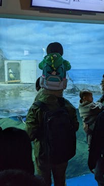 新江ノ島水族館に投稿された画像（2022/12/30）