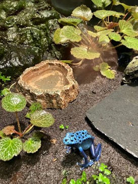 サンシャイン水族館に投稿された画像（2022/12/30）