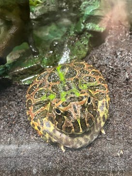 サンシャイン水族館に投稿された画像（2022/12/30）