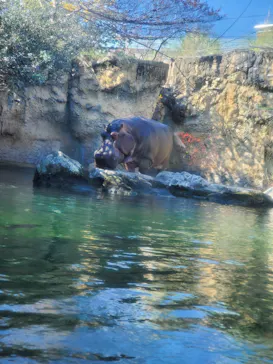 天王寺動物園に投稿された画像（2022/12/30）