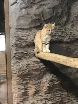 那須どうぶつ王国に投稿された画像（2022/12/30）