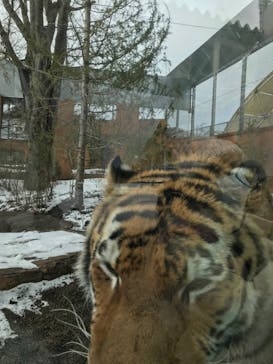 那須どうぶつ王国に投稿された画像（2022/12/30）